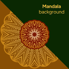 Floral mandala - the Sacred Vector illustration