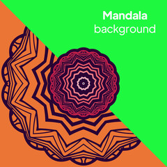 Vintage decorative elements. Vintage business card. Vector illustration