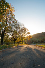 Fototapeta premium Autumn landscape with road