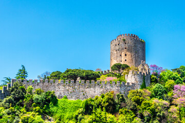 Rumeli Hisari view from sea in Istanbul