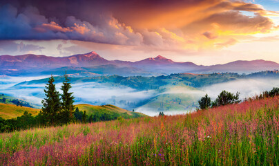 Beau paysage de la nature avec une vue de montagnes verdure et nuages