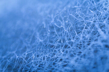 Macro background of natural sponge that looks like roots