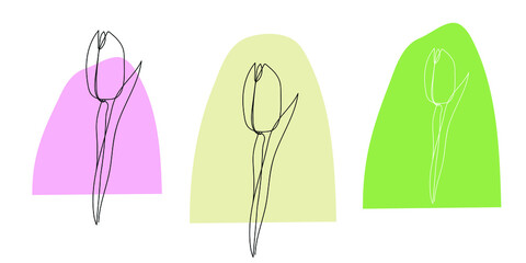 Tulip, vector continuous line drawing. Spring flowers. Design template for banner, post card, invitation. Trendy print design