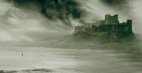 Fototapeta na wymiar castle in the mist