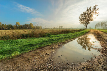 Sunset in Milan countryside, Italy.