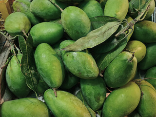 Close-up Pile of Fresh Green Mangoes with Leaves