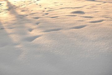 White fresh snow with sunlight on the snow   texture detail background with place for message. Footprints in the snow 