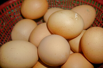 A Basket of dozens of eggs. Macro Focus and Bokeh
