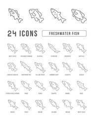 Fototapeta na wymiar Set of linear icons of Freshwater Fish