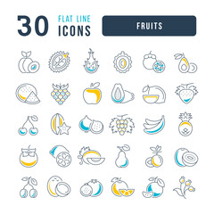 Fototapeta premium Set of linear icons of Fruits