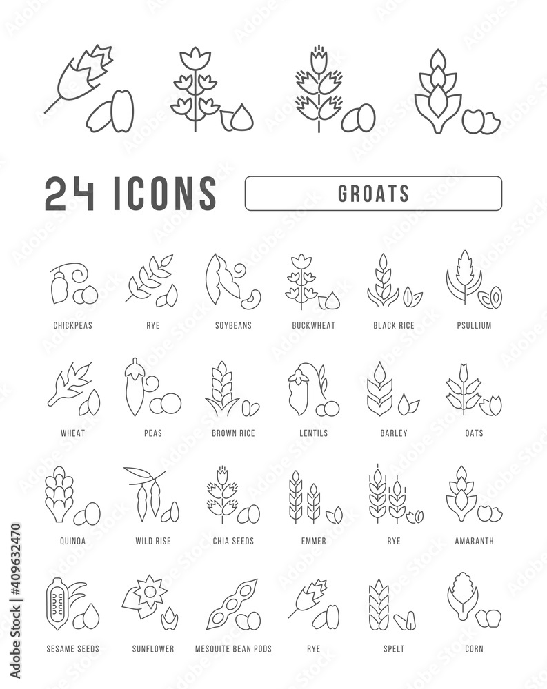 Wall mural set of linear icons of groats