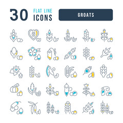 Set of linear icons of Groats