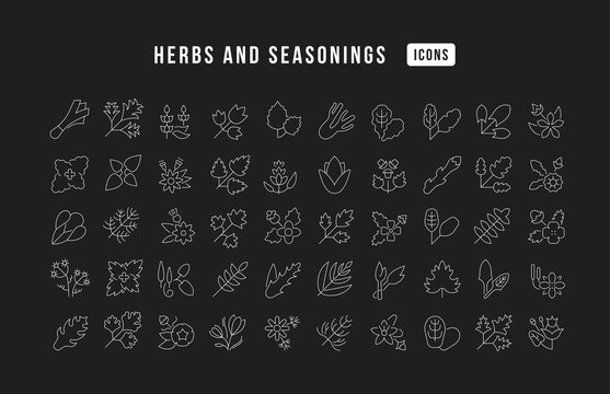 Set of linear icons of Herbs and Seasonings