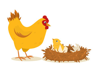 illustration of a chicken standing next to a nest of chickens