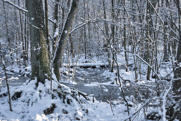 Grunewaldkanal im Winter #2