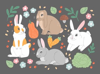 Set with cartoon cute rabbits, vegetables and flowers. Flat vector illustration for easter. Cute characters.