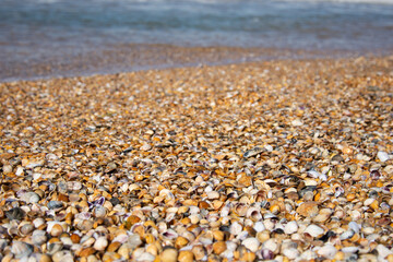 Summer and vacation. Beautiful beach.