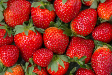 Ripe strawberries as a background texture closeup. Macro.