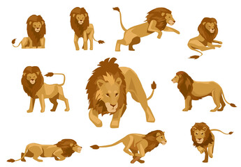lions vector © Deni