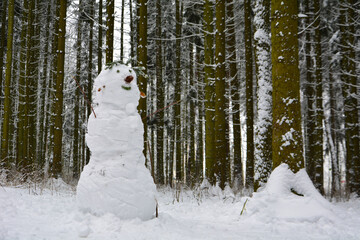 Snowman in the forest