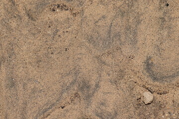 Wet soil pattern background