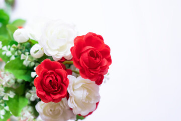 Beautiful red and white roses isolated on white