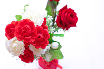 Beautiful red and white roses isolated on white