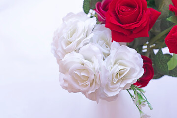 Beautiful fresh spring flowers on white background