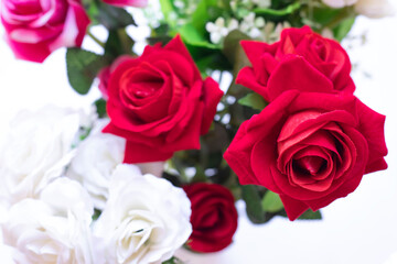 Beautiful fresh spring flowers on white background