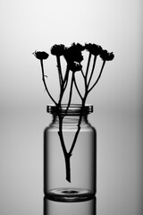 Withered flower in a glass jar. Close up shot with great reflection on a gray background