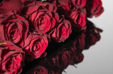 Bouquet of red roses. Great reflection. Greeting card for Valentine's Day and birthday