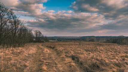 Spring landscape