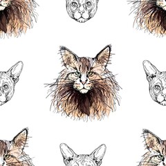 Seamless pattern of hand drawn sketch style Maine Coon and Sphynx cats isolated on white background. Vector illustration.