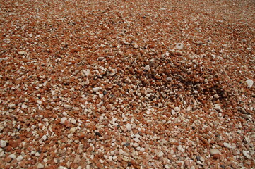 Nahaufnahme von vielen kleinen Kieselsteinen in den Farben Orange und weiß am Strand passend als Hintergrund
