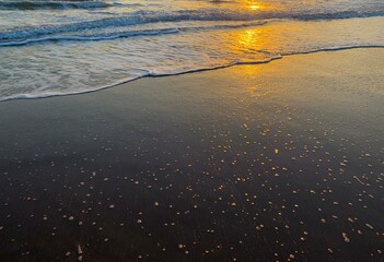 Evening wet sand beach texture, sunlight on the sand, evening light, sea background