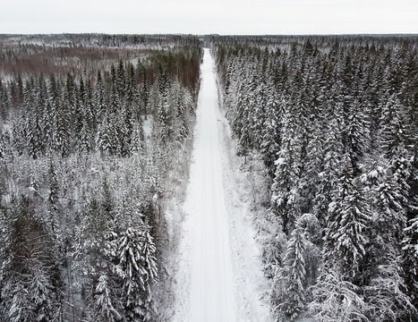 Road Through The Frozen Forest