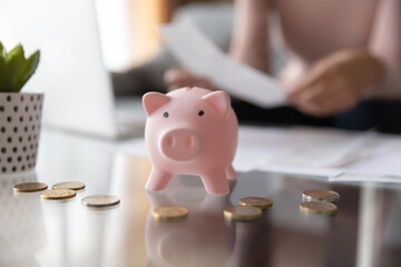 Close up focus on small pink piggy bank standing on table with cropped blurred young woman managing...