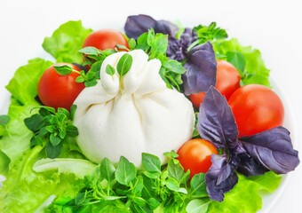 Burrata cheese