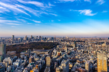 Obraz na płótnie Canvas 東京都渋谷区から見た東京の都市景観