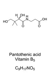 Pantothenic acid, vitamin B5, chemical formula and skeletal structure. An essential nutrient to synthesize coenzyme A, and to synthesize and metabolize proteins, carbohydrates, and fats. Vector.