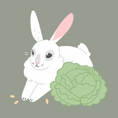 Cute white rabbit in cartoon style with cabbage and seeds. Vector flat illustration isolated on background.