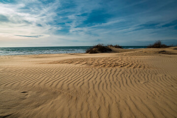 sand dunes in the morning