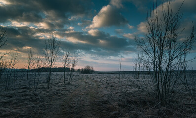 Winter moring among fields