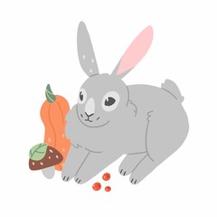 Cute grey rabbit in cartoon style with pumpkin, mushroom and berries. Vector flat illustration isolated on background.