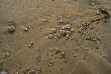 следы на песке