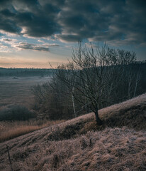 Winter moring among fields