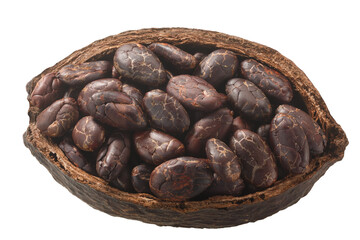 Halved cocoa pod with whole fermented cacao beans (Theobroma cacao fruit w seeds)  isolated, top view