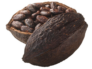 Halved cocoa pod with whole fermented cacao beans (Theobroma cacao fruit)  isolated