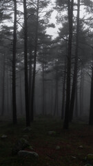 Fototapeta premium Otoño en la Sierra de Guadarrama