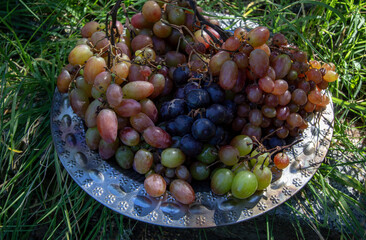 ripe juicy grapes of several varieties on a metal platter